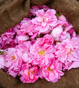 Roosade lillede kimp pruunil kangataustal.